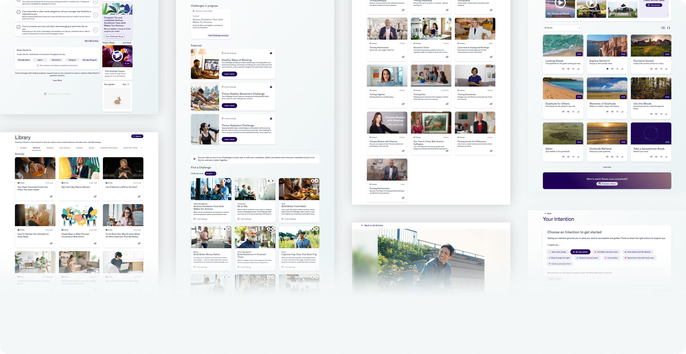 Preview of Thrive Product Screens